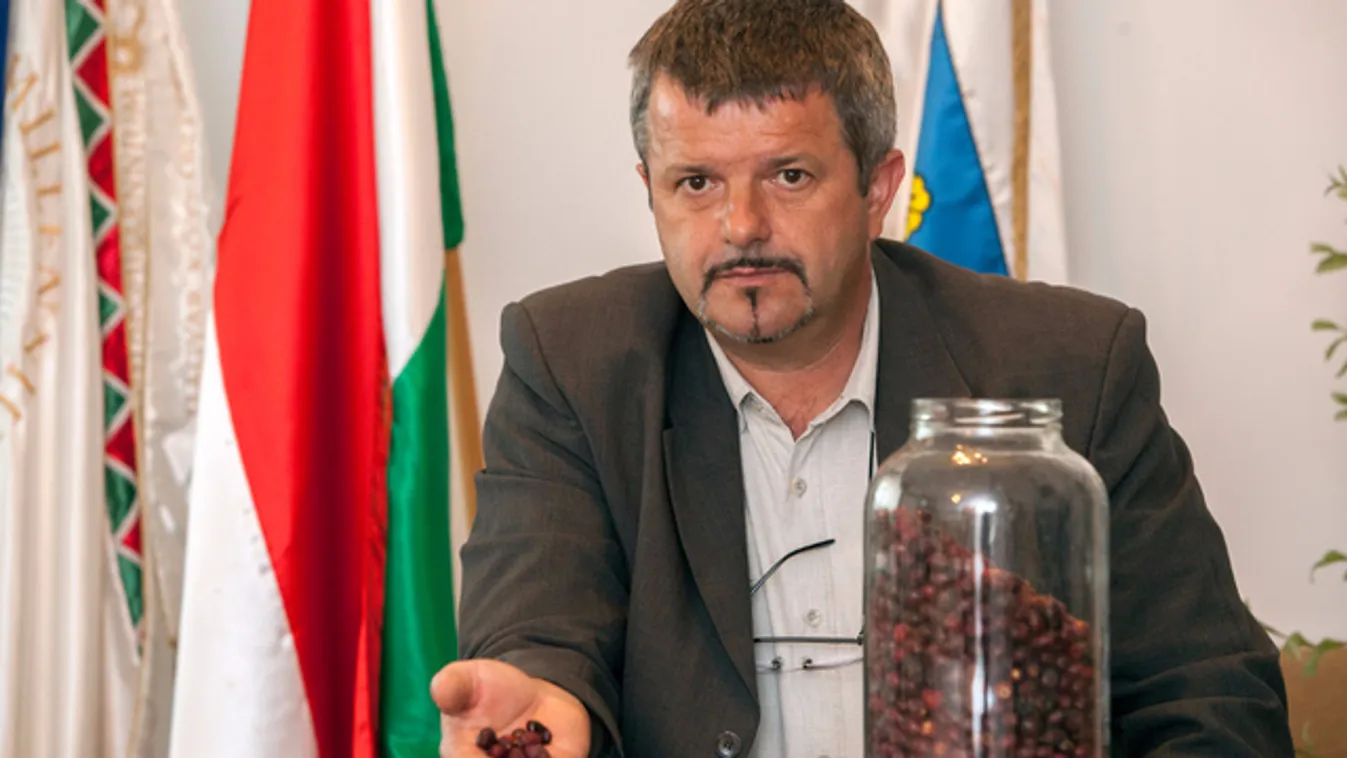 Füvekkel gyógyít a halimbai polgármester