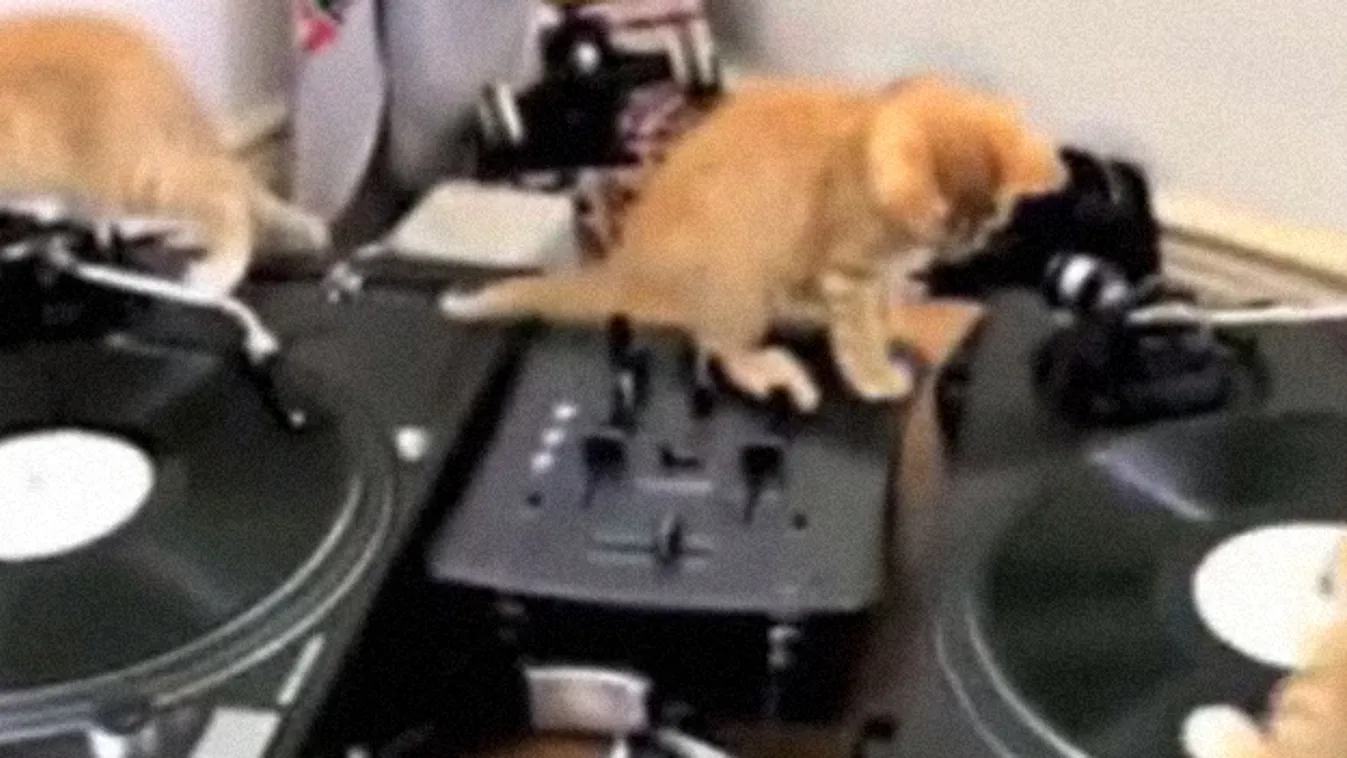 Itt a bizonyíték: pofonegyszerű DJ-vé válni - videó