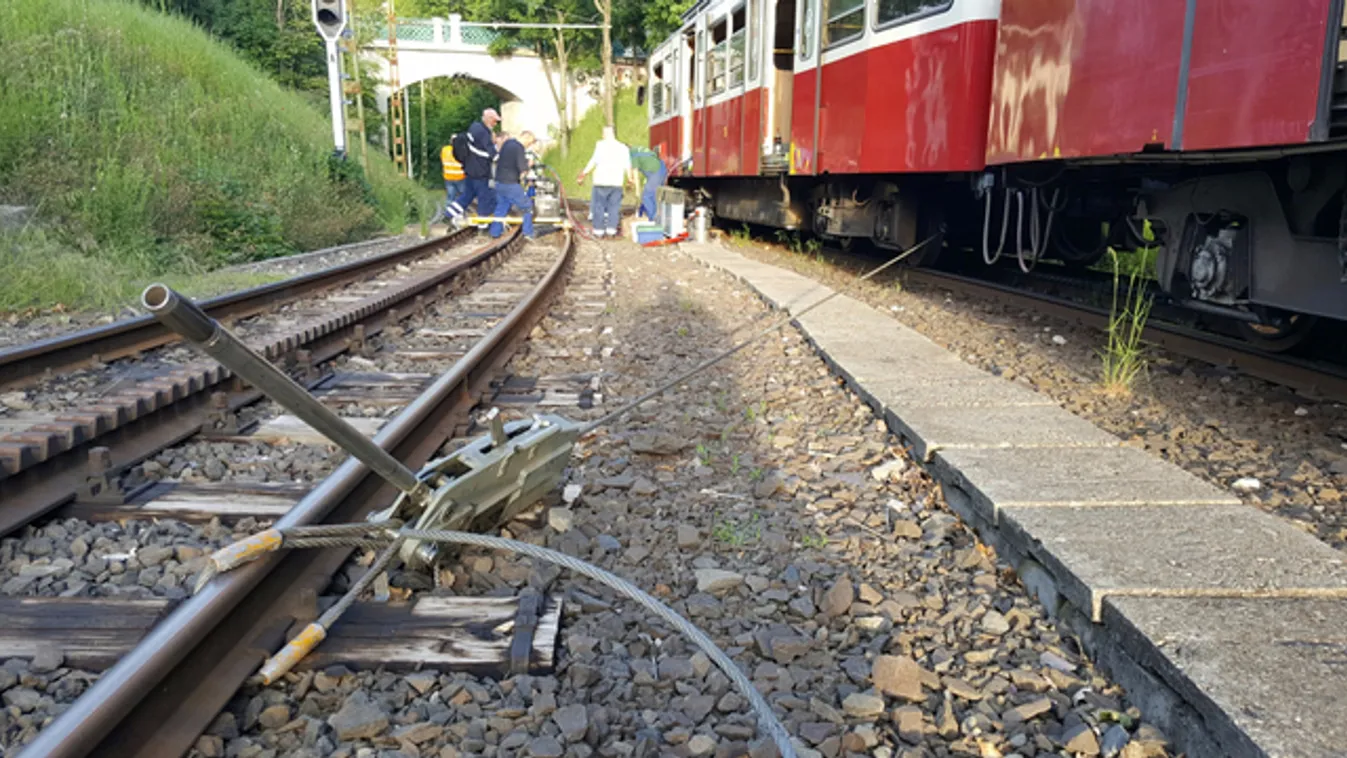 Kisiklott a fogaskerekű - fotók