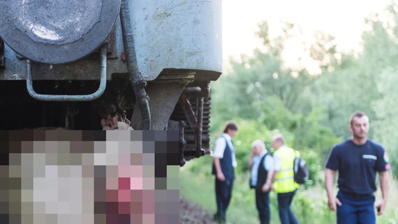 Ennyi maradt szegény nyírségi bárányokból, miután vonat rohant a nyájba Sokkoló fotók