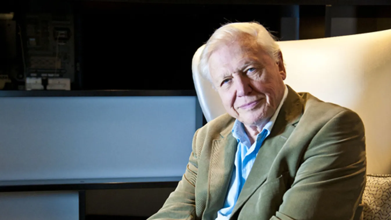 Elképesztő, mennyi idős David Attenborough