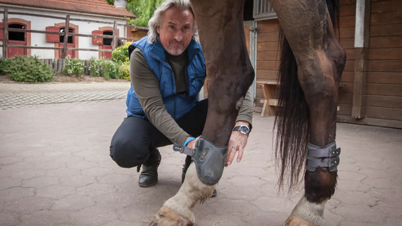 Sasvári Sándor: Inkább a ló, mint a színház!
