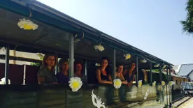 Kisvasúttól élményfürdőig: tippek, ha Debrecenben nyaral a család