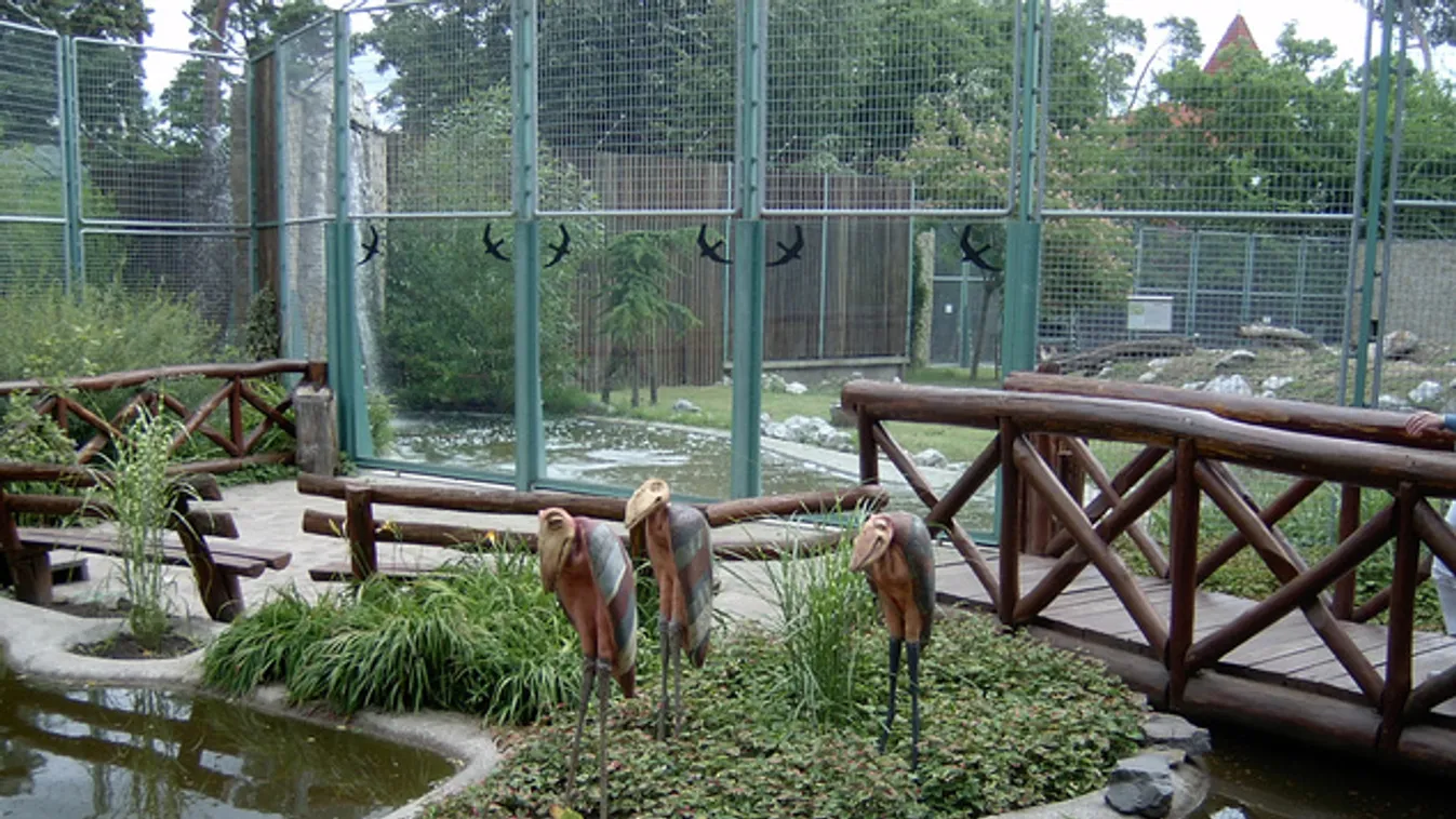 3 milliárdból újul meg a debreceni állatkert és vidámpark