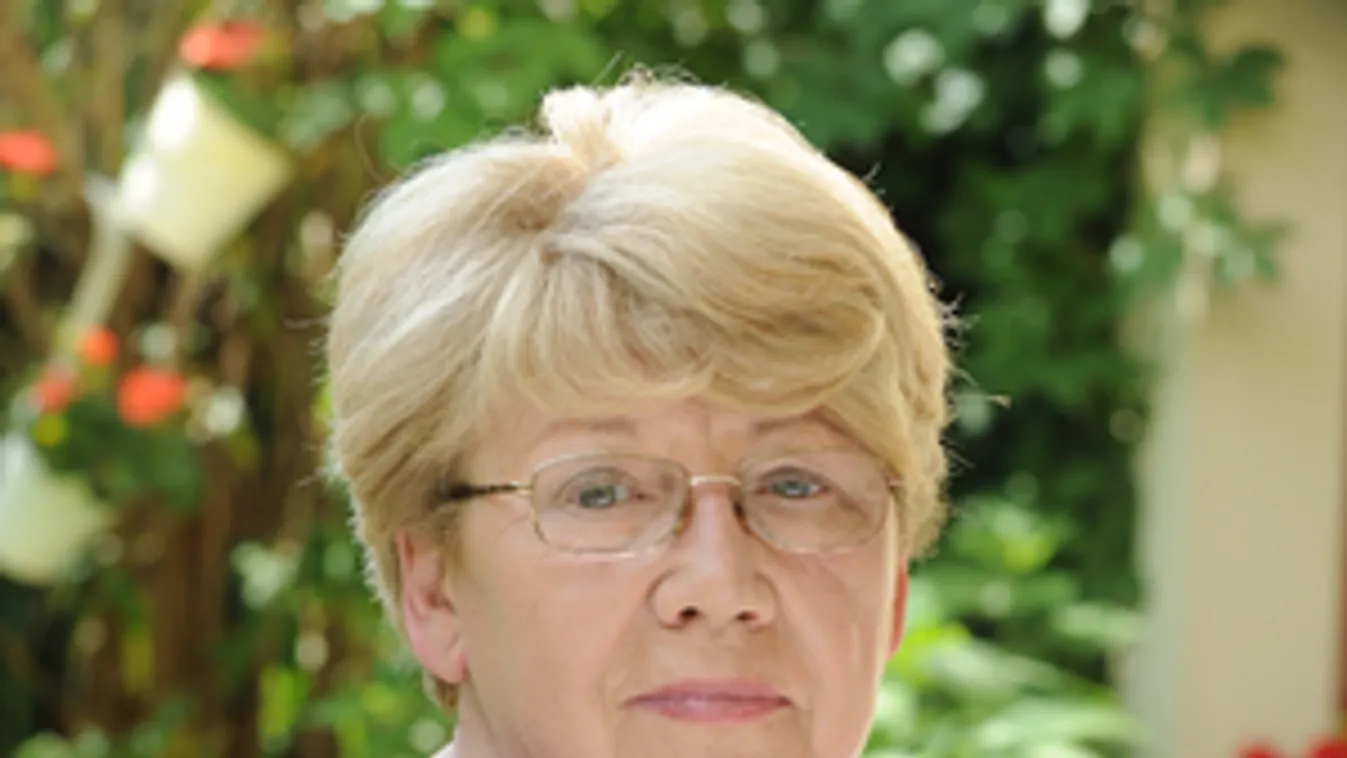 Szegvári: Csak politikai nyomulás van a köztévében