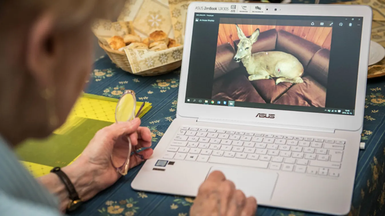 Hazavárja Márta néne a félig vak őzet