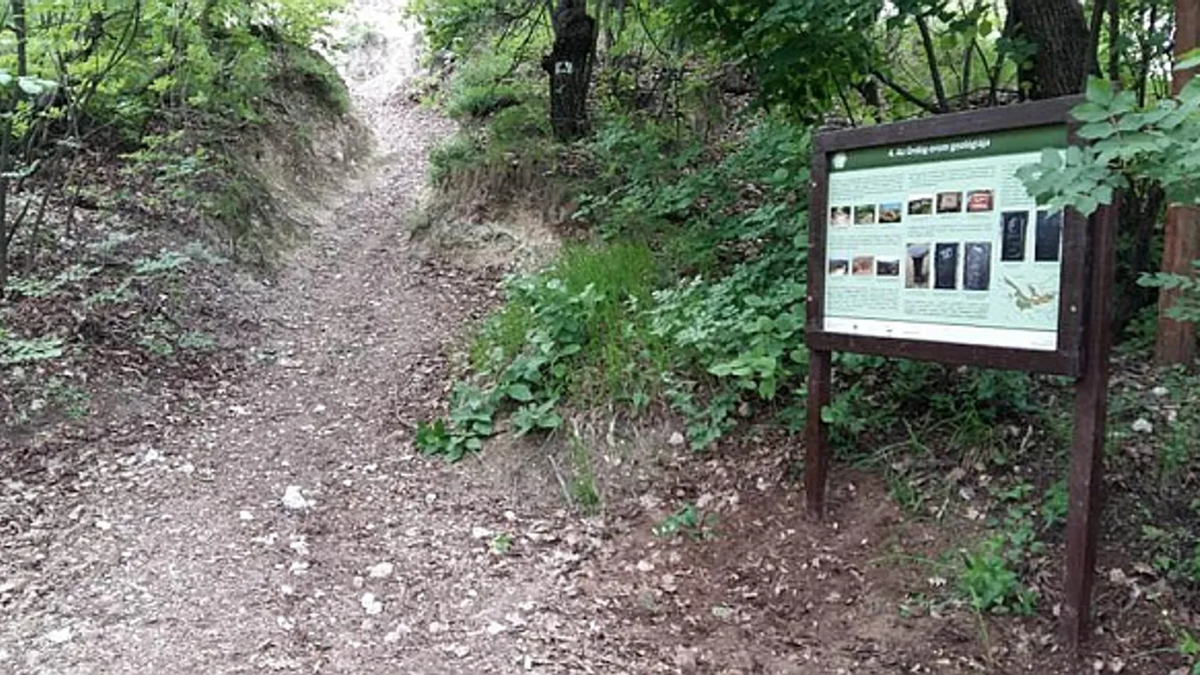 Panorámás tanösvény nyílt Budán