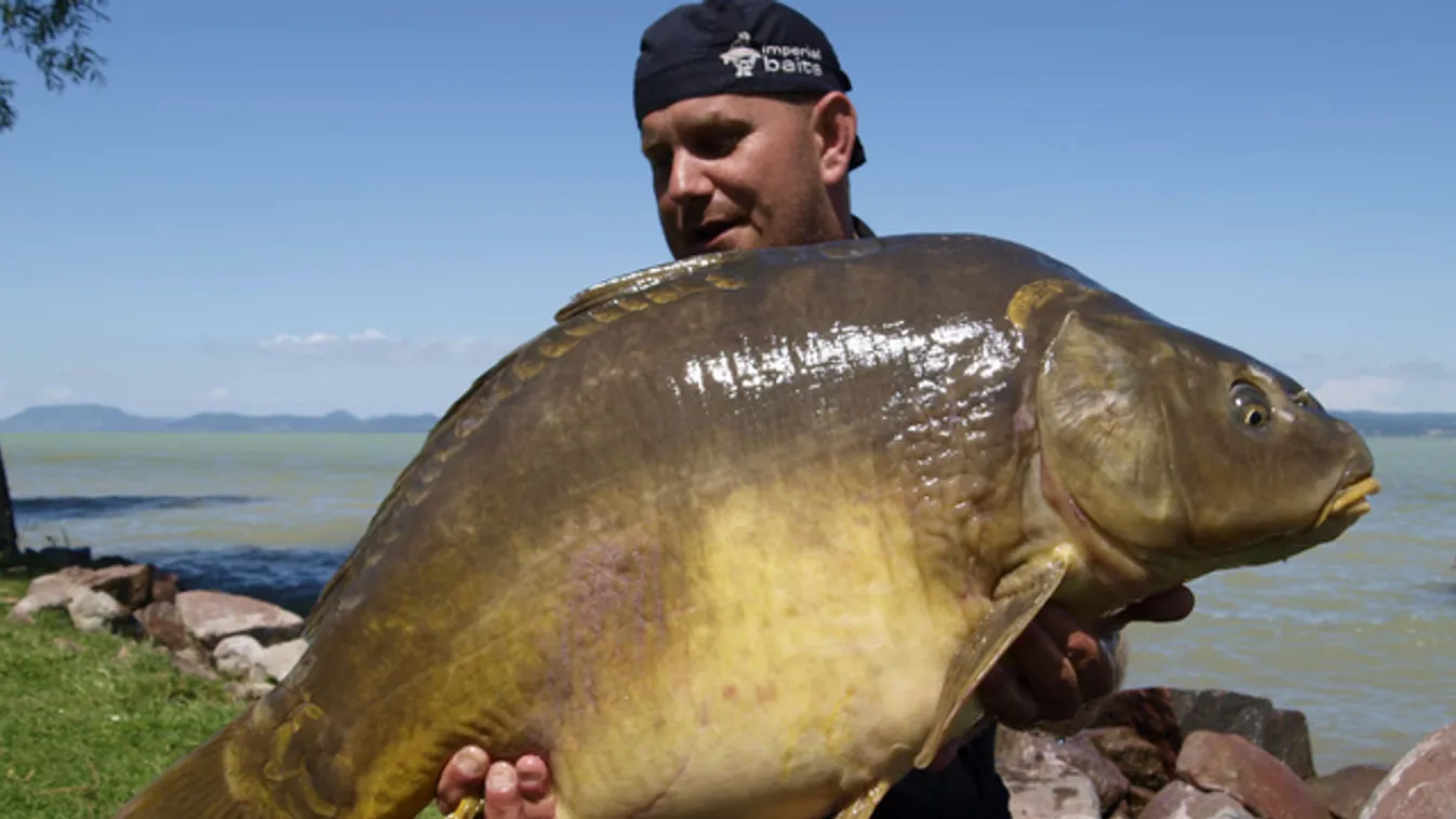 Harmadszorra akadt horogra a Balaton gigászi pontya