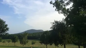 Balatoni borászatok, ahol még akkor sem unatkozik, ha nem iszik
