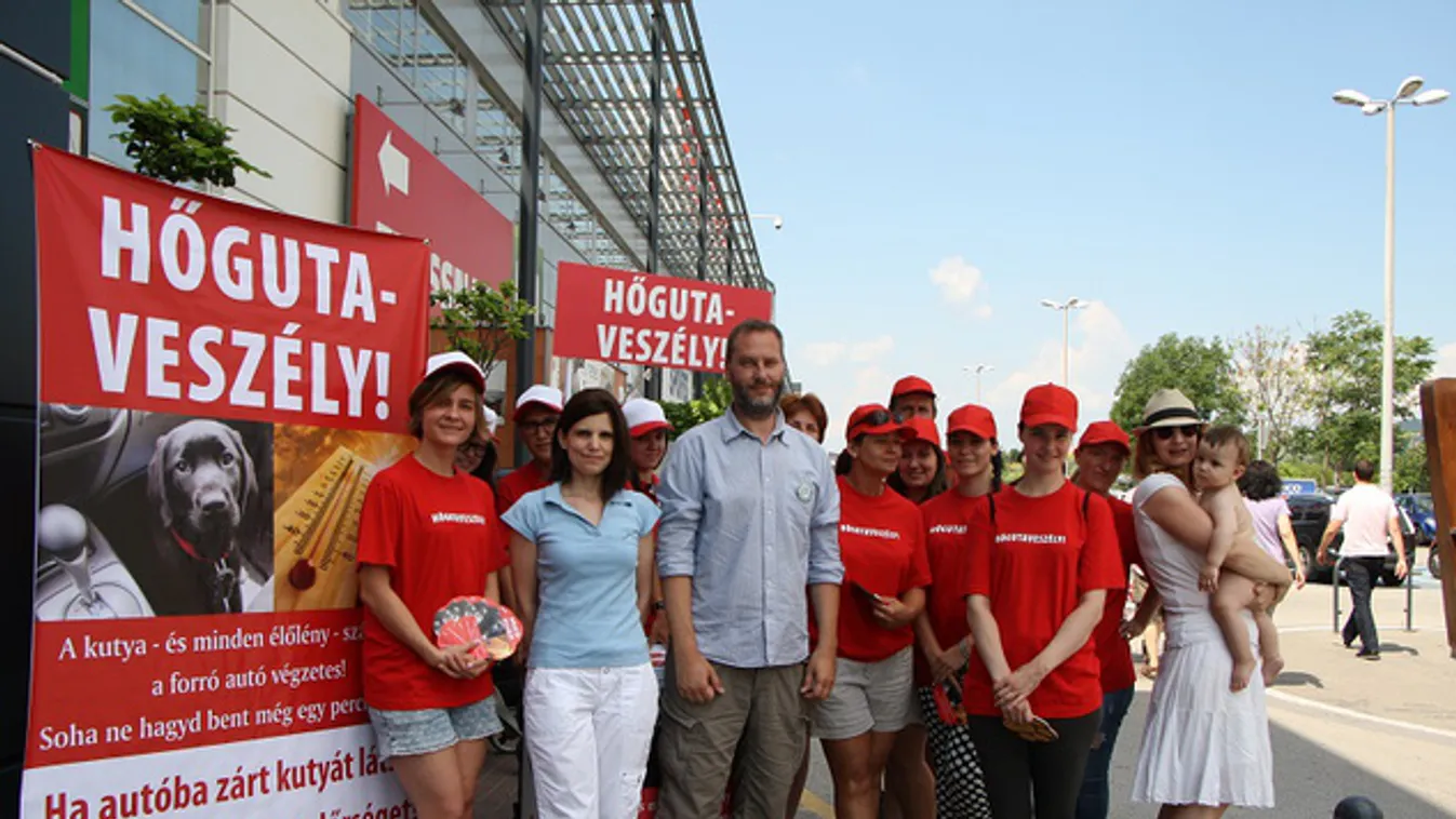 A hőségben kocsiban hagyott kutyákért kampányolnak