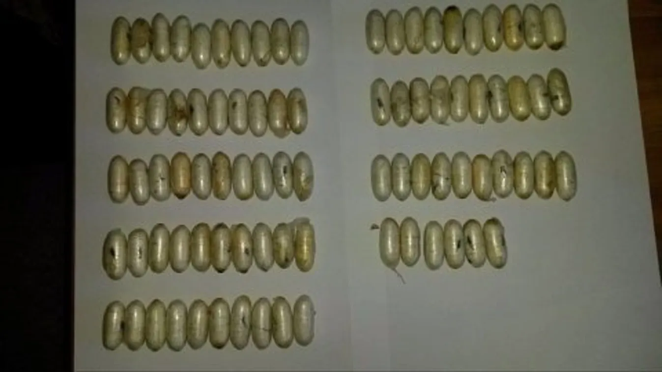 Ferihegyi fogás: 100 zacskó kokain rejtőzött a gyomrában - videó