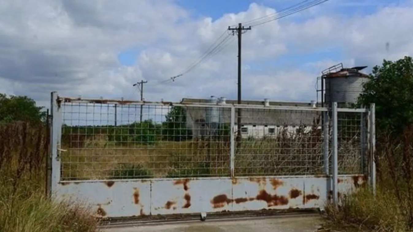 Kifosztották Győzike családját
