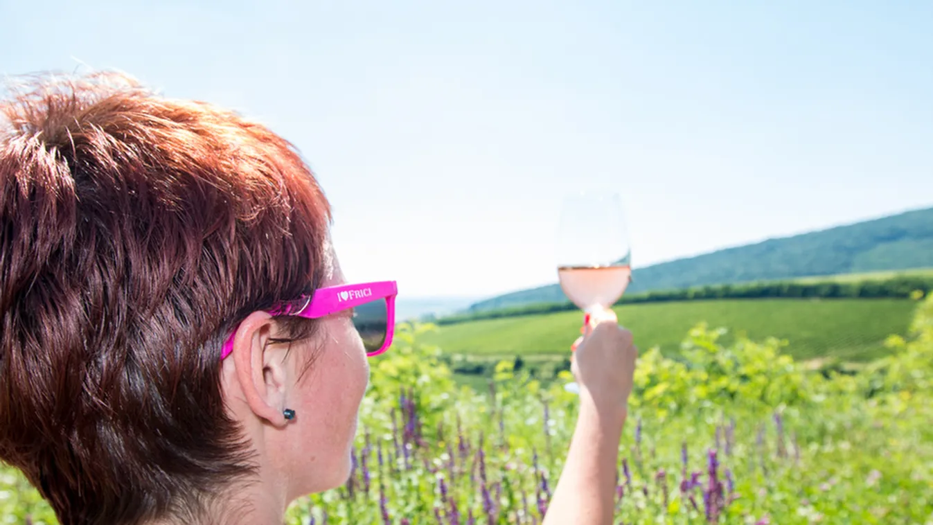 Aktív tippek, ha Villányban töltődne fel