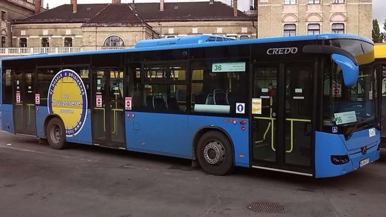 5 évet is kaphat a mozgássérültre támadó buszsofőr