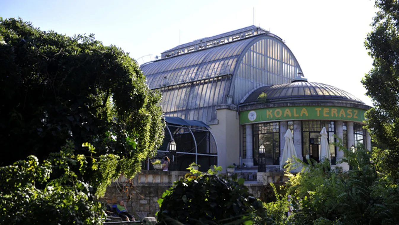 Két napig ünnepli 150. születésnapját az Állatkert
