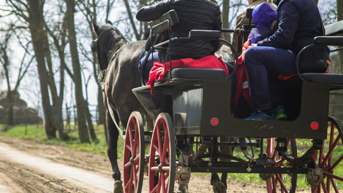 Öt szuper lovarda a Balatonnál