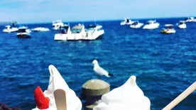 Kanadában is imádják a magyar kürtőskalácsot