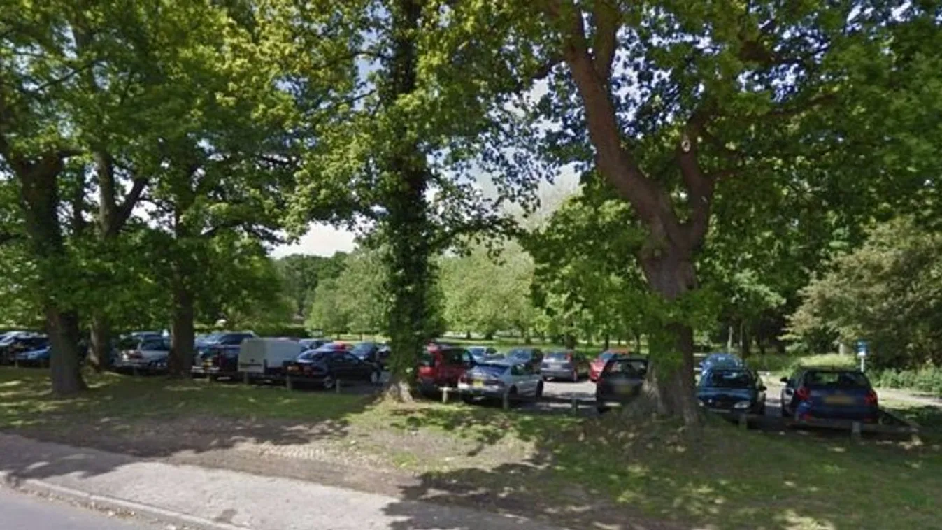 Péntek reggel többen megerőszakoltak egy férfit a parkban