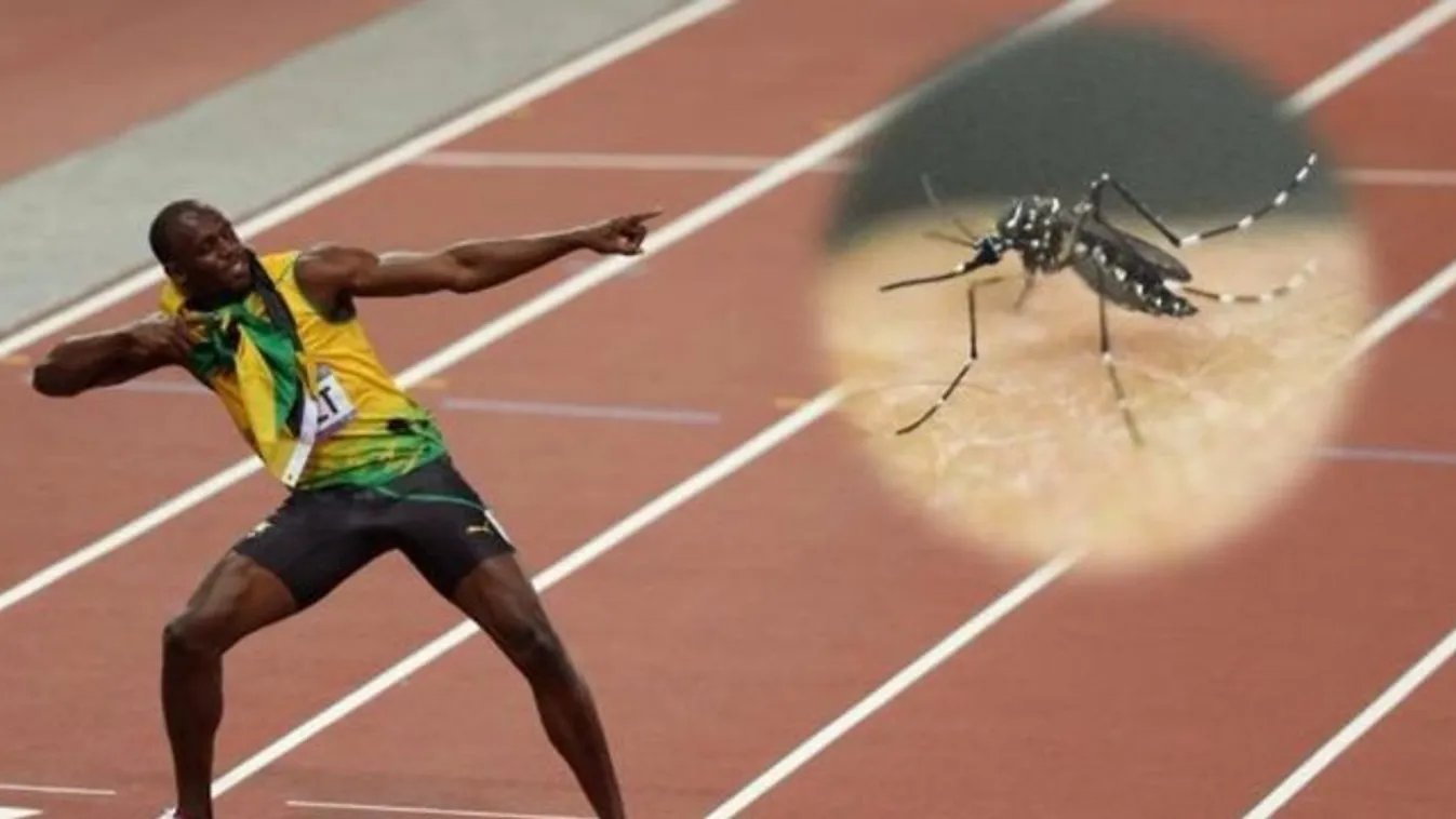 Bolt lesprinteli a Zika-szúnyogot
