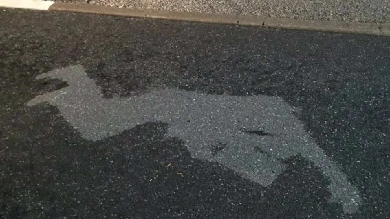 Ilyen szép, ha egy részeg elalszik az út közepén