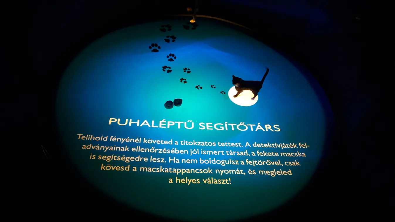 Kövesd a csiga lábnyomát a sötétben!