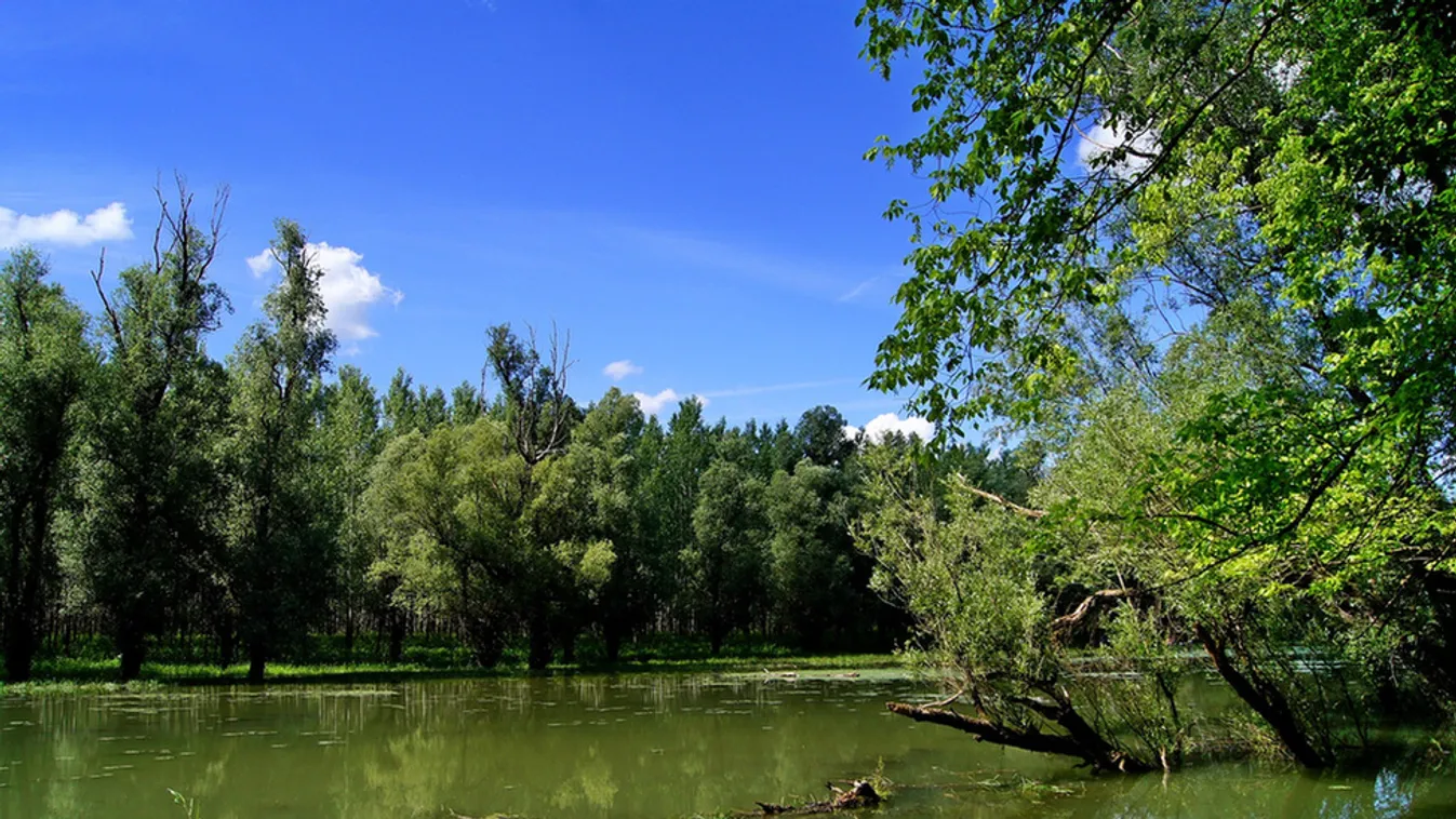 A gőzös Gemencre látogat - kisvasúti nap lesz az ártérben