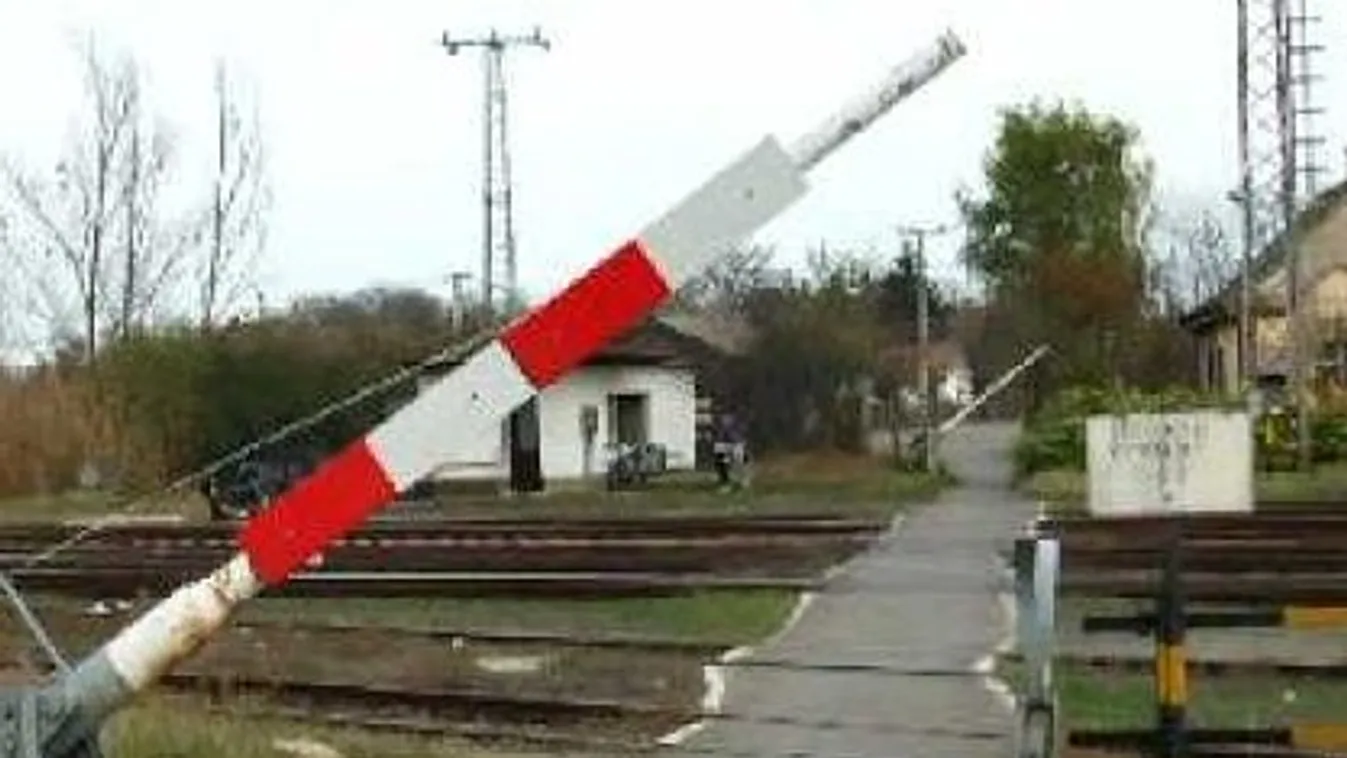 Halálra kínozta ismerőse kutyáját a nagykanizsai férfi