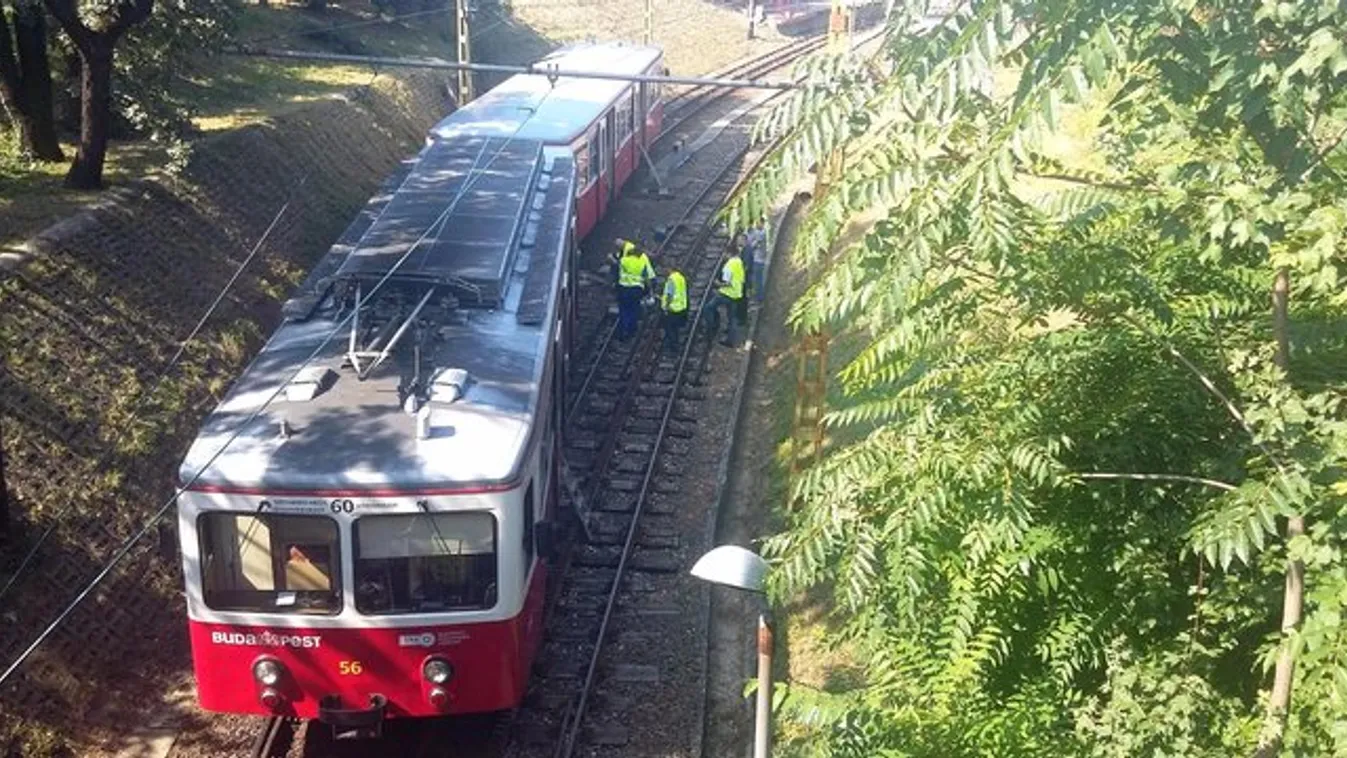 Kisiklott fogaskerekű okozott bonyodalmat a Széchenyi-hegyen - fotók