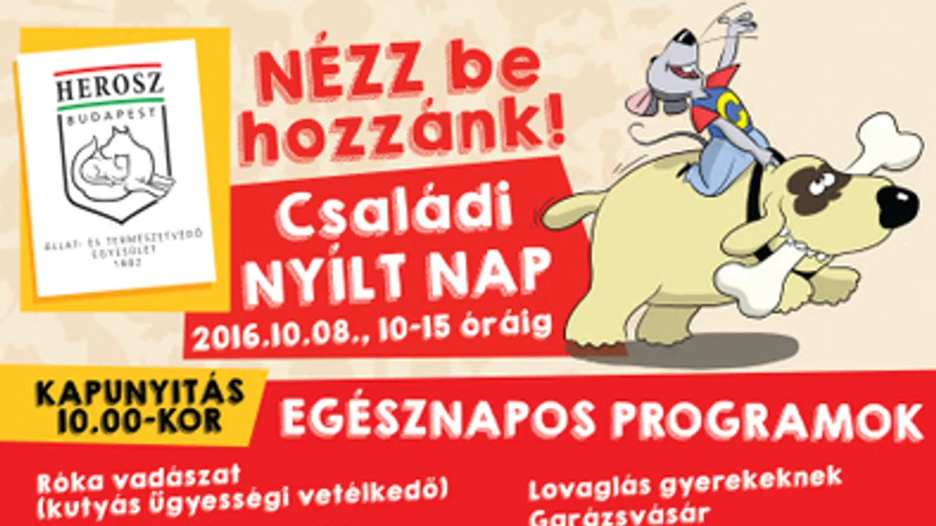 Cukiság a családnak: kutyaszépségverseny és cicasimogató az állatotthon nyílt napján