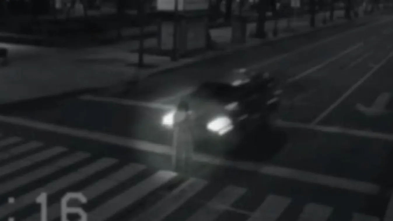 Halottat ütöttek el a zebrán - paranormális videó