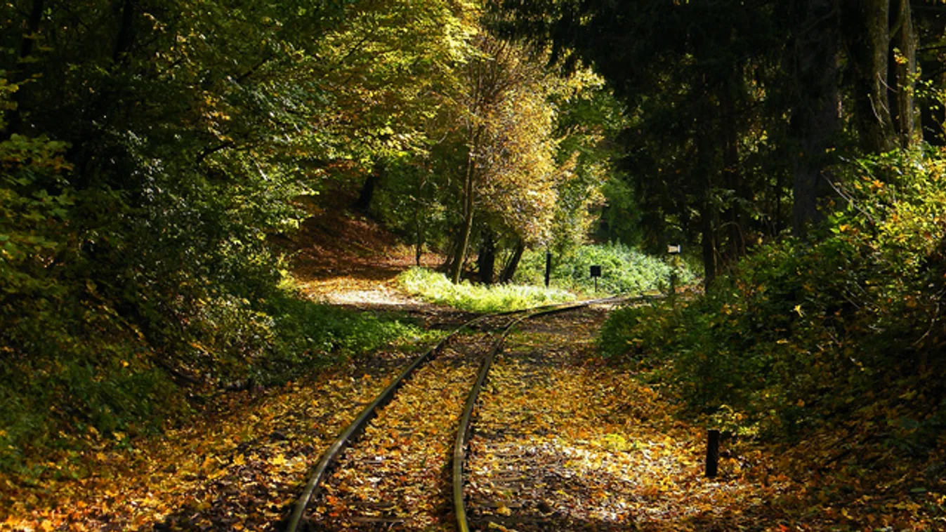 Zenélő vonatok és Fátyol-vízesés: ünnepel a szilvásváradi kisvasút