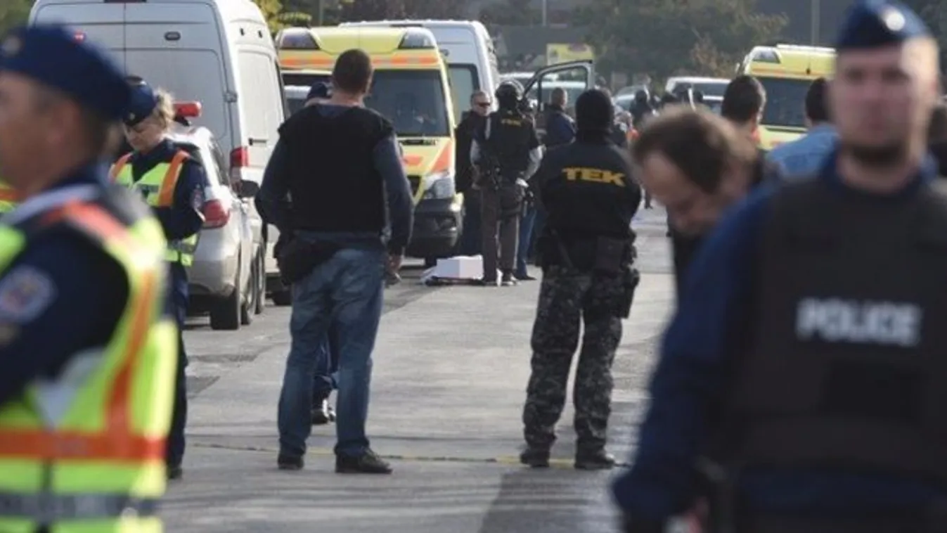 Megszólalt a bőnyi gyilkos unokája: a nagypapa csak rá akart ijeszteni a nyomozóra!