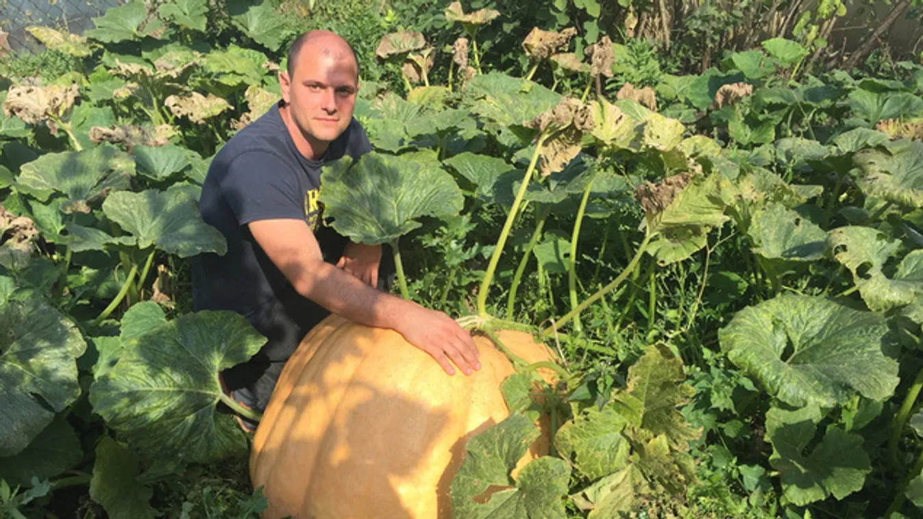 Óriástök héjában evezné át a Velencei-tavat egy gárdonyi kertész