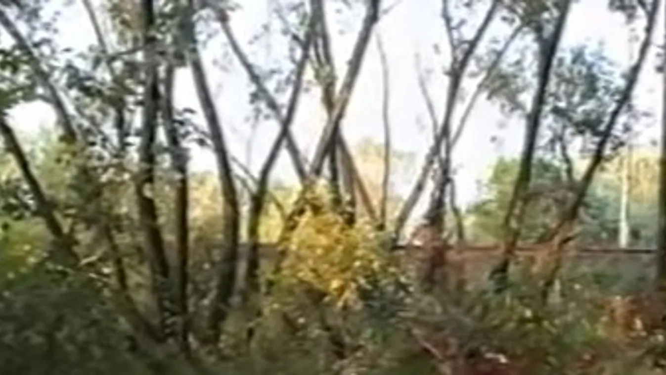 Megerőszakolta, majd megfojtotta a nőt a kecskeméti gyilkos