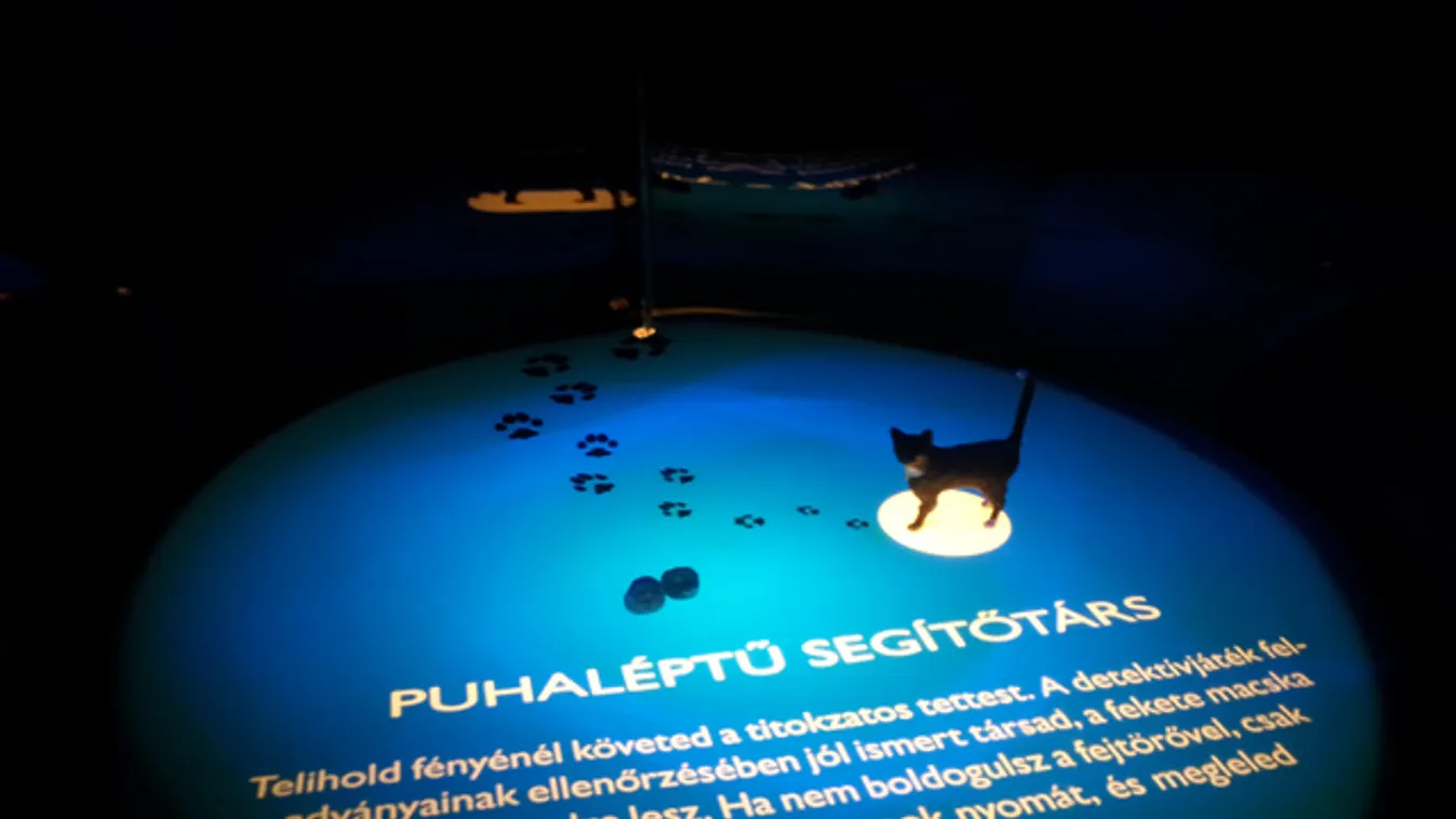 Éjszakai nyomozás fényes nappal