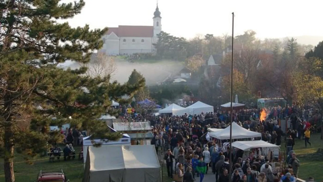 Felpörgeti a MÁV az elővárosi közlekedést