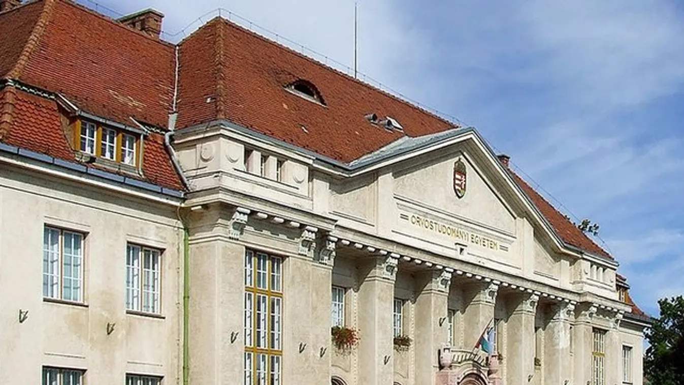 Debrecen: Négyes ikrei születtek a négyes iker apának