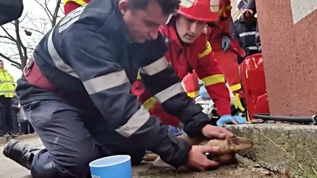 Lenyűgöző mit tett ez a román tűzoltó