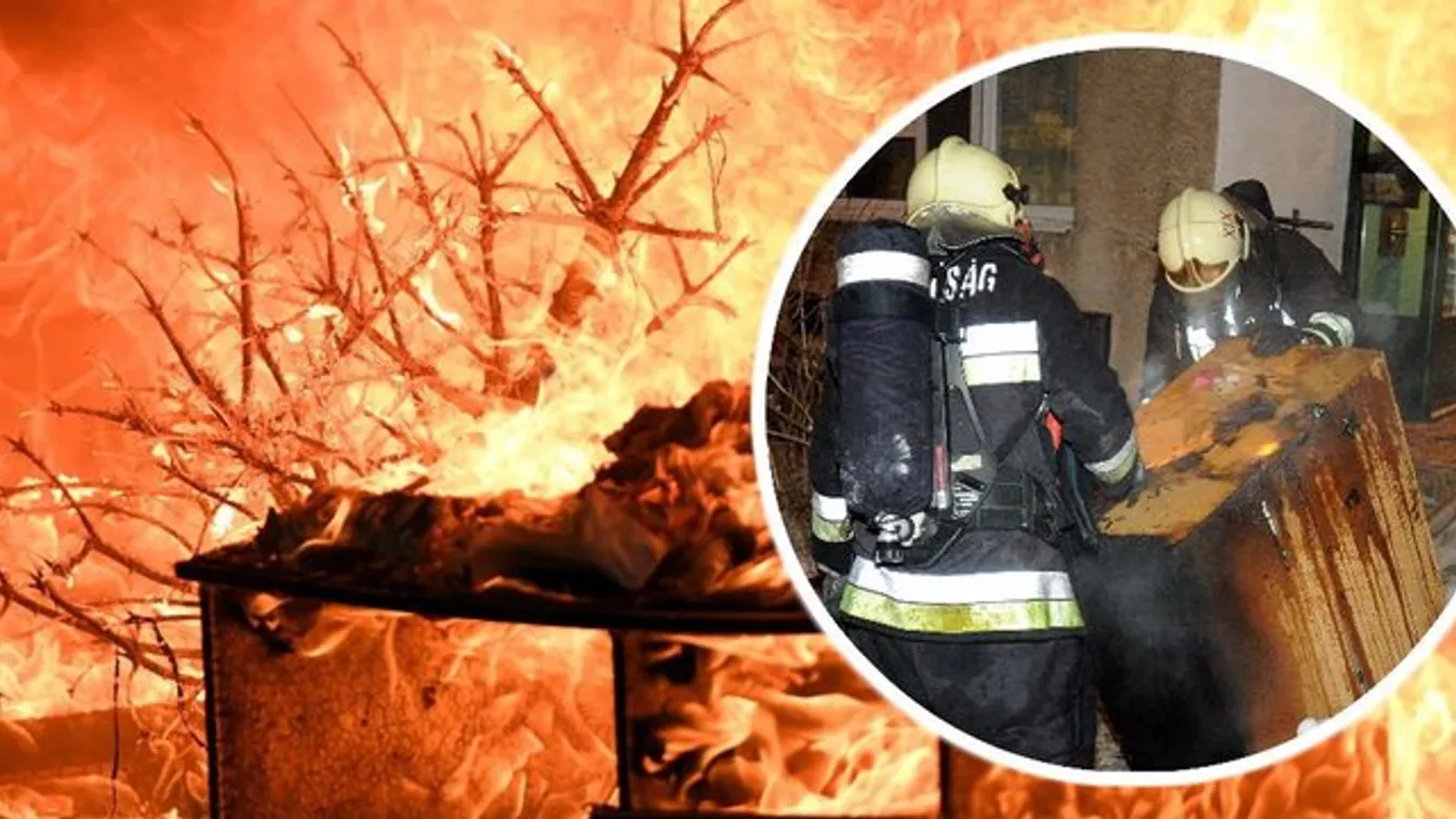Mit tegyen, ha lángra kap a karácsonyfa?