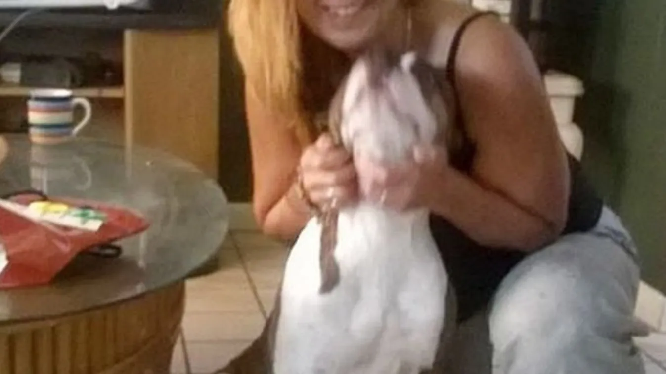 A pitbull nem örült a karácsonyi ruhájának, megtámadta a gazdáit
