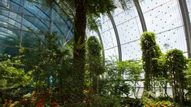 Lélegzetelállító legek ázsiai városállama: ez mind Szingapúr