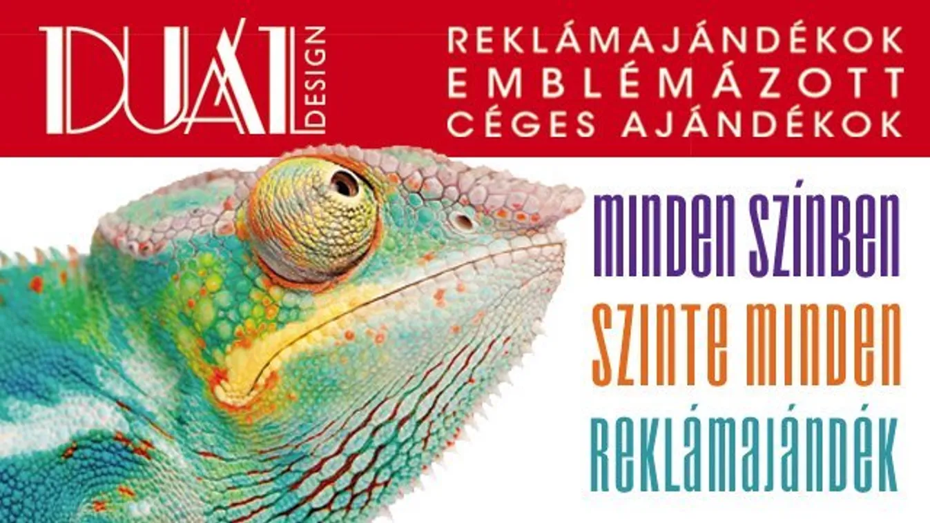 Kattanjon a DUÁL-ra! (x)