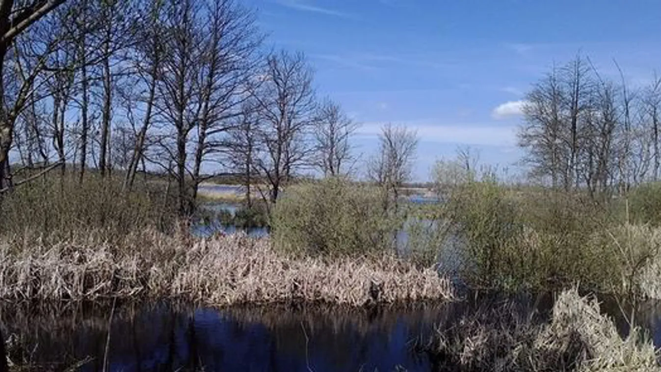 Vizes élőhelyek világnapja: ingyenes túra a Kis-Balatonon!