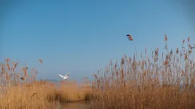 Vizes túrák a Víz világnapja alkalmából