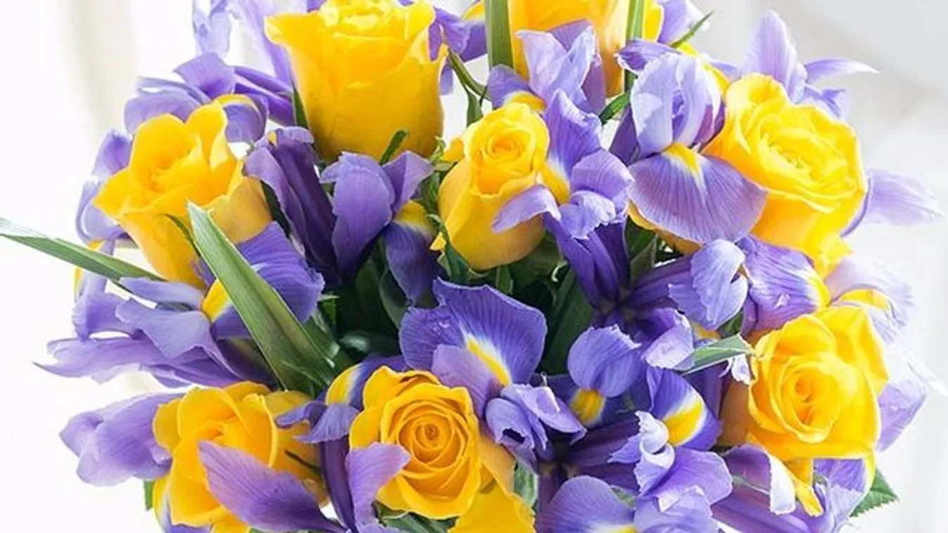 https://cdn.borsonline.hu/2017/03/Cfdzjb7inAyulNAzqC7P8Fs1YpahXgQWSKOd9sQXJiU/fill/1347/758/no/1/aHR0cHM6Ly9jbXNjZG4uYXBwLmNvbnRlbnQucHJpdmF0ZS9jb250ZW50L2MzOGU3MzM2NTBlYzRkMTRiMjExMjc4MTA2YzQ0NmVi.webp
