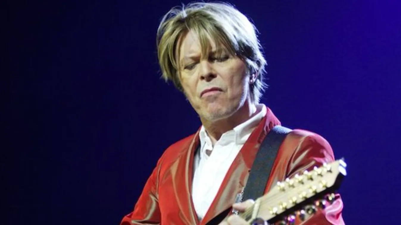 Nem jött össze elég pénz Bowie gigantikus szobrára