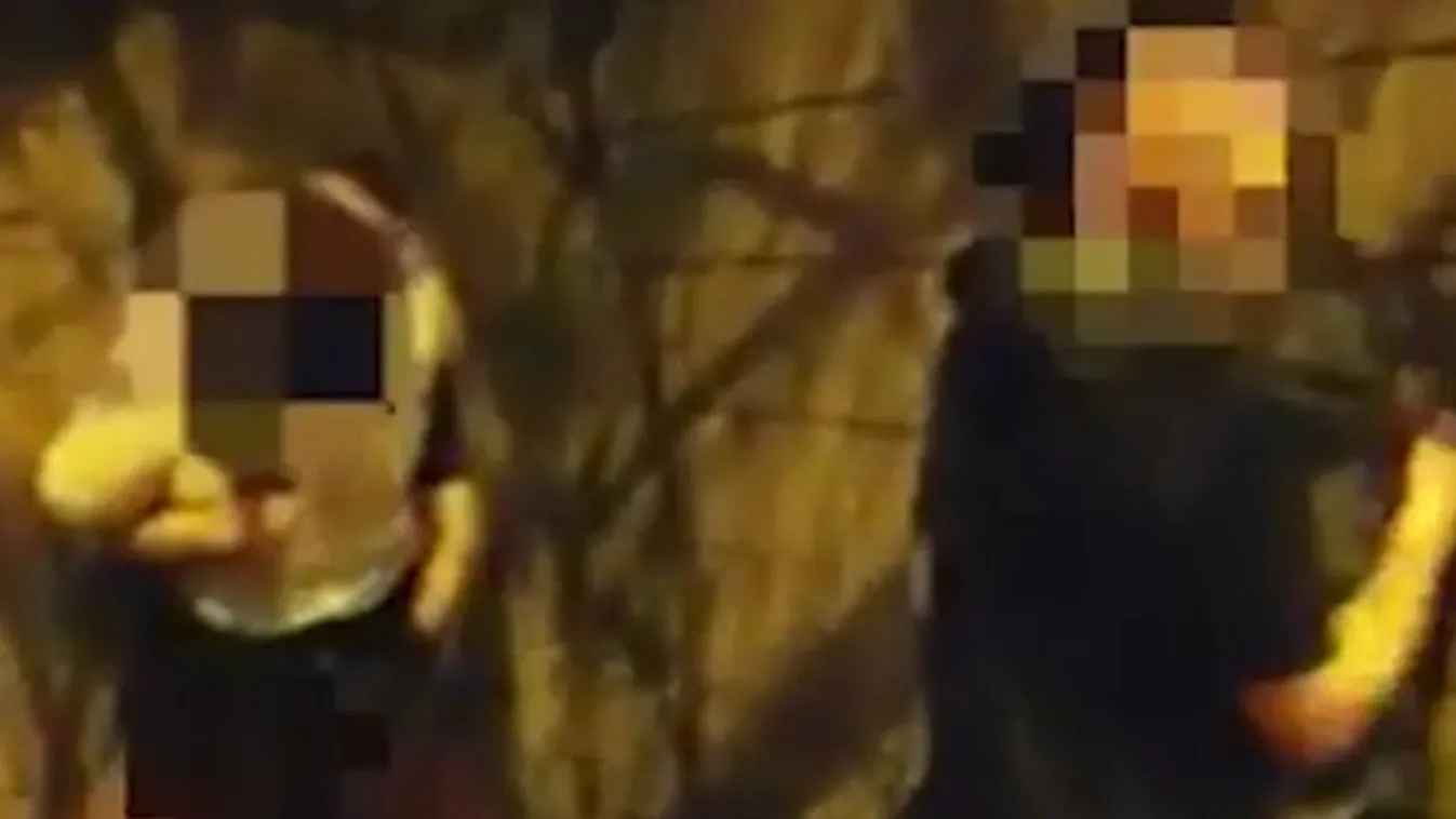 A nyílt utcán szexeltek, a durva, hogy nem voltak ezzel egyedül – videó