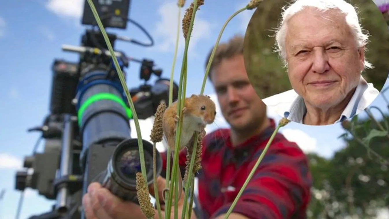 Állatok is filmeztek a leghíresebb természetfilmesnek