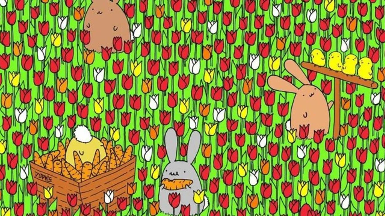 Megtalálja a képen az elrejtett tojást? – Játék