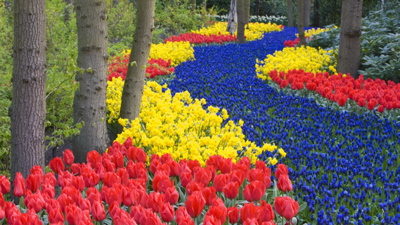 A hétmillió tulipán kertje és az igazi húsvét Palócföldön